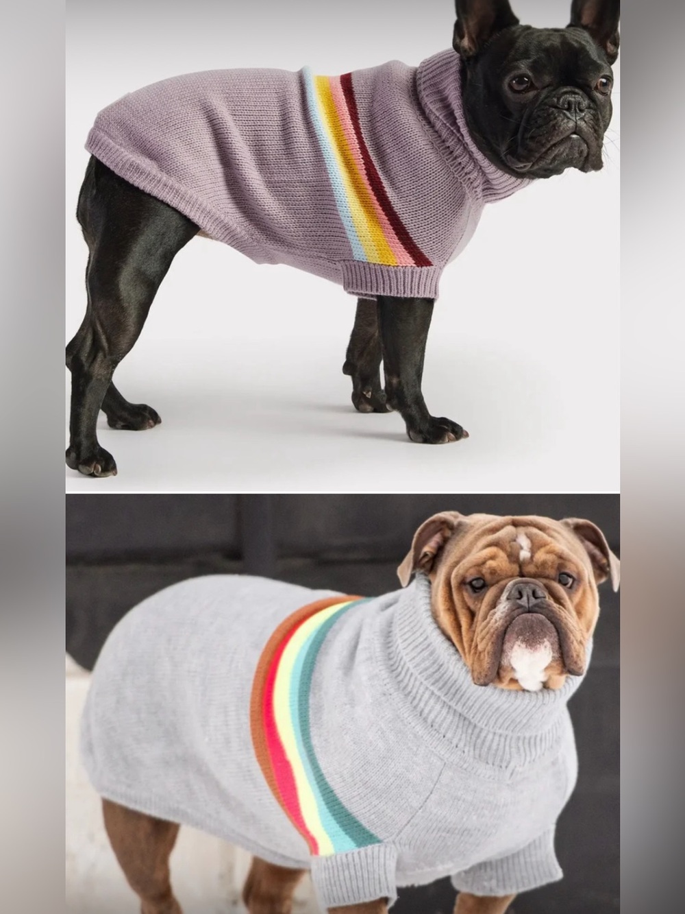 2 GF Pet Dog Sweaters - XL - 🌈